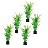 Plant Tenellus Mini 7cm 5st