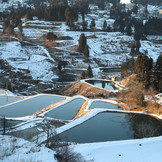 ProPond Winter S 1,8kg