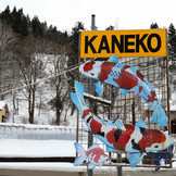 ProPond Winter S 1,8kg