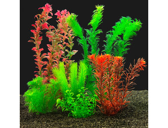 Kunstplantenpakket Set L Aquarium Egeria Ludwigia