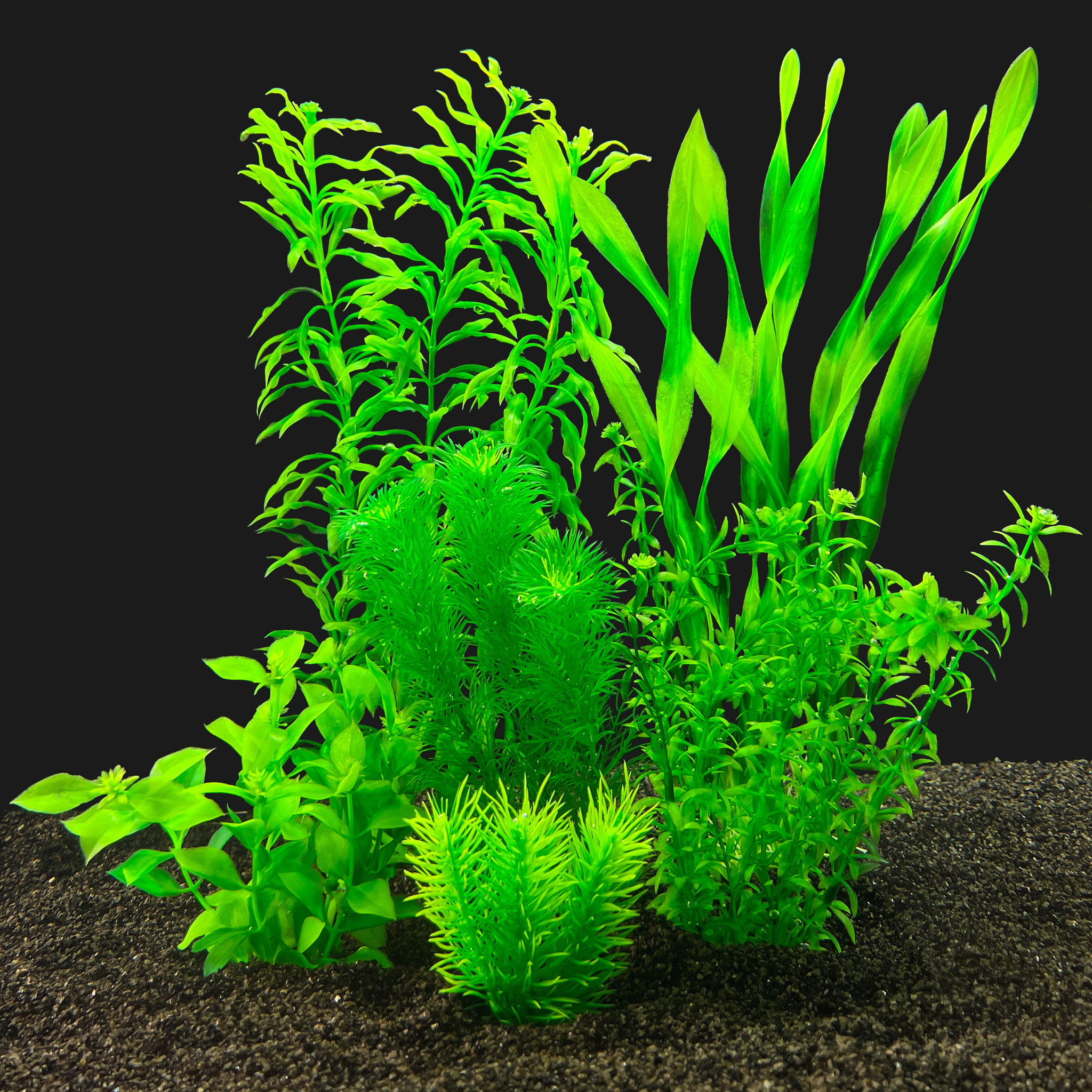 Kunstplantenpakket L Aquarium Vallisneria Heteranthera