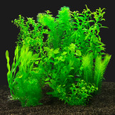 Kunstplanten Set XL Lagarosiphon Heteranthera