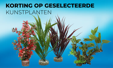 Geselecteerde kunstplanten deals