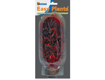 Easy Plant Middel 20cm Nr. 7