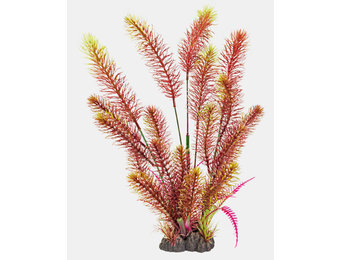 Art Plant 40cm Myriophyllum Red