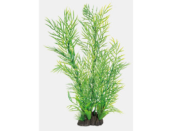 Art Plant 40cm Ceratopteris