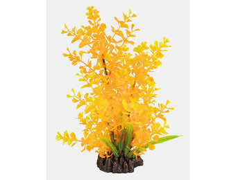 Art Plant 25cm Ludwigia Orange