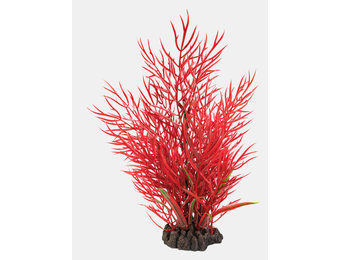 Art Plant 25cm Ludwigia