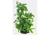 Art Plant 25cm Dracaena