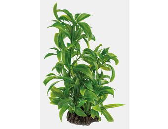 Art Plant 25cm Dracaena