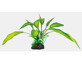 Art Plant 25cm Cryptocoryne
