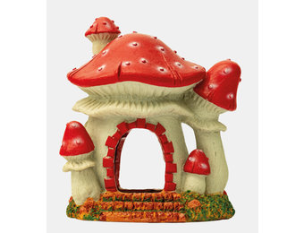 Mushroom House S