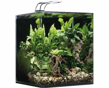 Aquascape aquaria