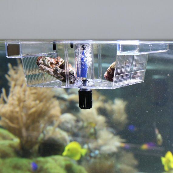 Multifunctionele isolatiebox voor het kweken van v... – Grandado