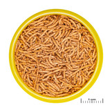 Pronovo Red Insect Stick S 100ml