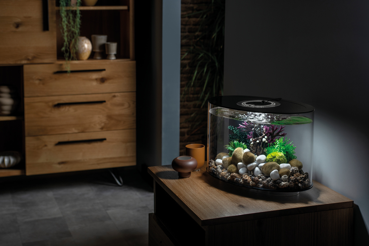 LOOP 15 MCR Zwart + Gratis Product