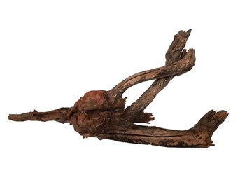 River Wood XL 51-70 CM