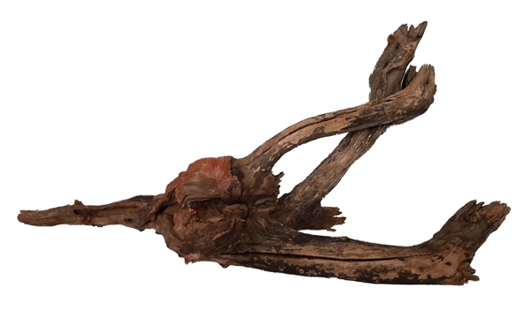 River Wood XL 51-70 CM