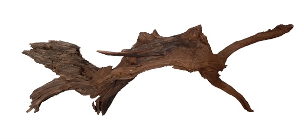 River Wood L 41-50 CM