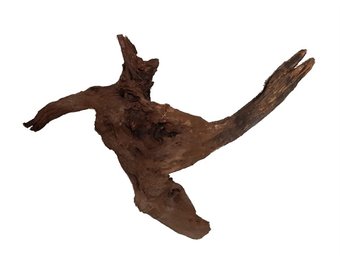 River Wood M 31-40 CM