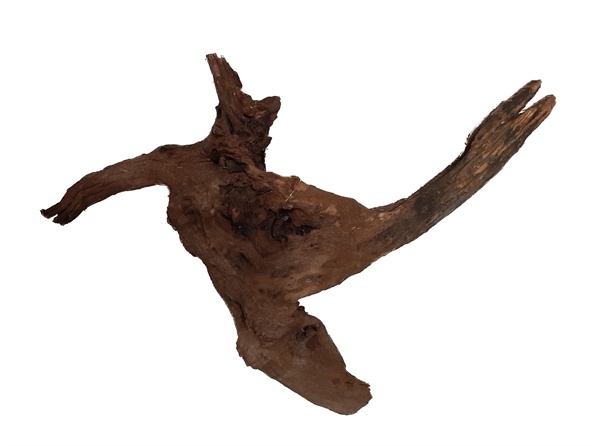 River Wood M 31-40 CM