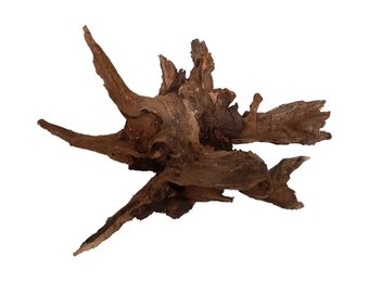 River Wood S 21-30 CM