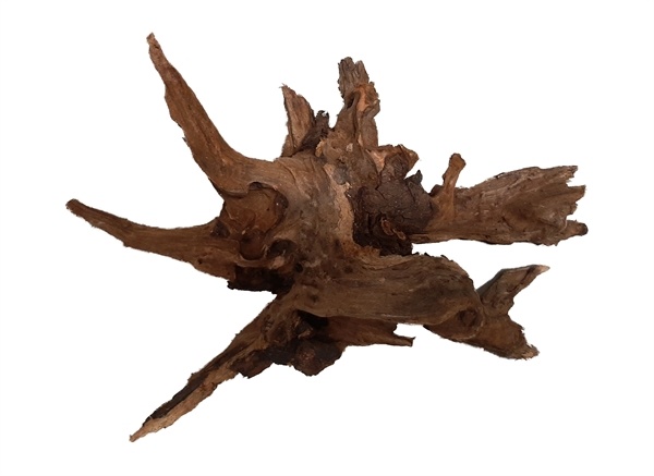 River Wood S 21-30 CM