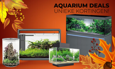 Aquarium Deals