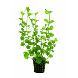 Energie besparen plantenpakket aquarium