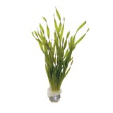 Energie besparen plantenpakket aquarium