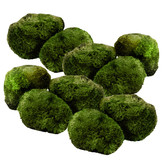 Mosbol Chladoflora M 3-4cm 10x