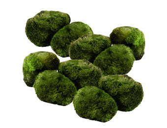 Mosbol Chladoflora XL 4-7cm 10x