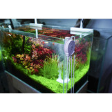 Doctor Mate Bluetooth Editie