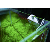 Doctor Mate Bluetooth Editie