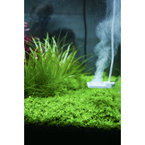 Doctor Mate Bluetooth Editie