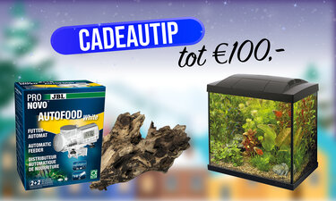 Cadeautip tot €100,-