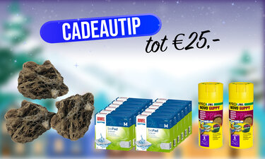 Cadeautip tot €25,-