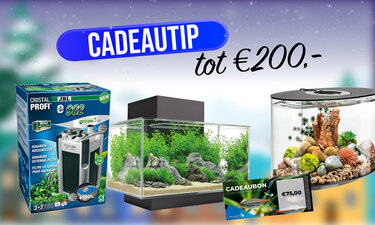 Cadeautip tot €200,-