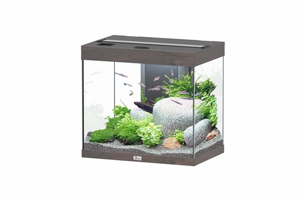 analogie eb Lach Aquatlantis Splendid 60 aquarium | Inclusief LED en filter - AquastoreXL