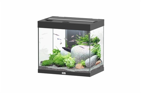 analogie eb Lach Aquatlantis Splendid 60 aquarium | Inclusief LED en filter - AquastoreXL