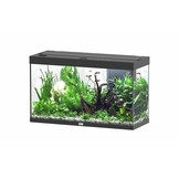Splendid 100 aquarium
