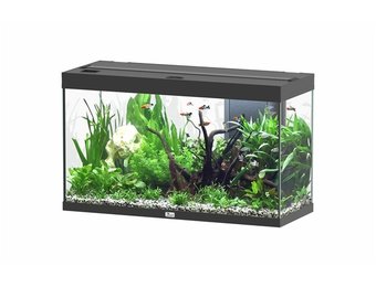 Splendid 100 aquarium