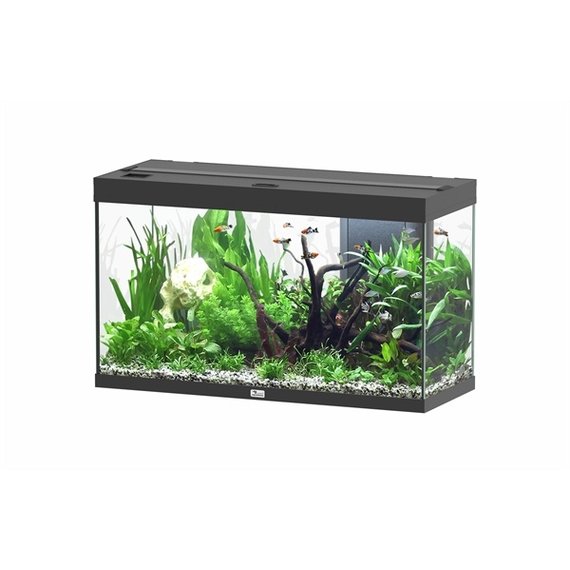 Aquatlantis Kubus 10 L LED Aquarium Set, 1 set - Olibetta Online Shop