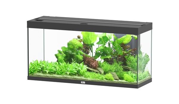 Temerity Jaar neutrale Aquatlantis Splendid 120 aquarium | Inclusief LED en filter - AquastoreXL