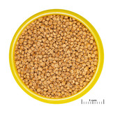 Pronovo Cichlid Grano S 250ml Click