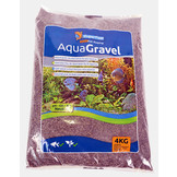 Complete Inrichting Koudwatervissen