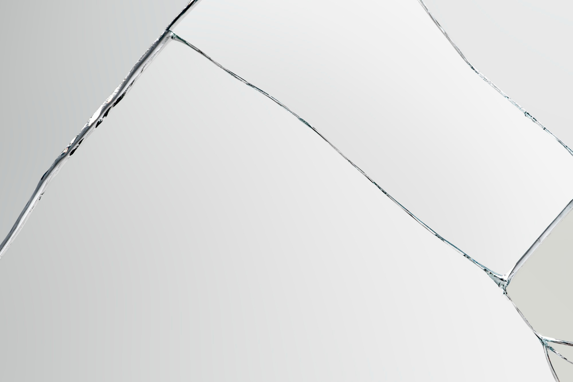 Op alles voorbereid: deze aquariumartikelen moet je in huis hebben