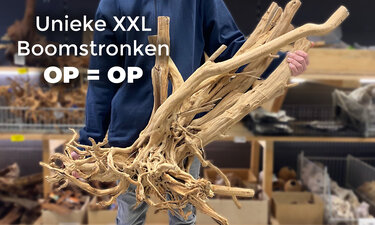 Uniek XXL Hout