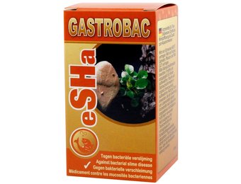 Gastrobac