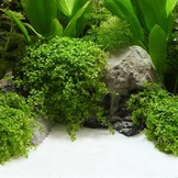 Natuur Zand Bairaman 0,1-0,6mm 2,5kg